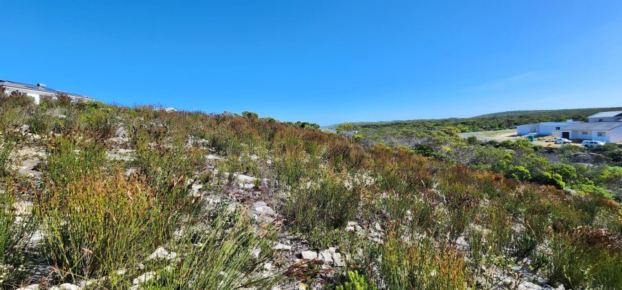 0 Bedroom Property for Sale in Struisbaai Western Cape